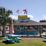 Things To Do Shark Shack